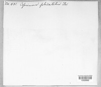 Image Associated With the Occurence